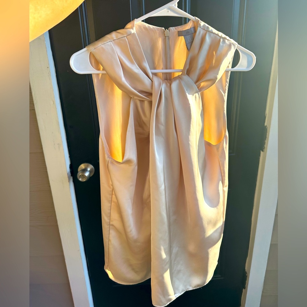 Champagne Blouse